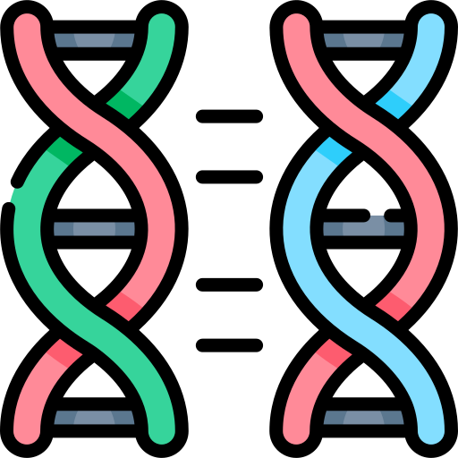 PCR Cloning